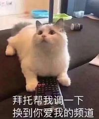 1.7ֵϻʰ317÷÷2ƿ56