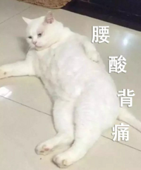 秋冬保养妙招!帕奈尔灸爱益身spa团购来了,放松+养生全搞定