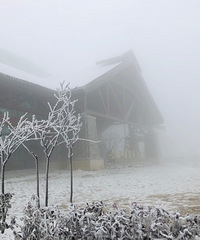 ��κô�ѩ�����ز�����