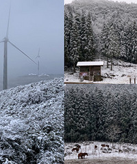 不用进景区,这里看雪超美的