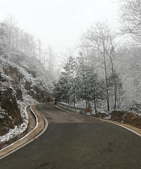 山ѿѩĺõطѩȽϴ󣬳