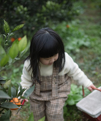 ժȵĺõطöƷֿѡ3.5/