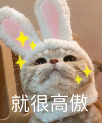 6家网红店真实测评来啦!看完再买不踩雷哦