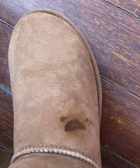������Ugg������զ�죿��