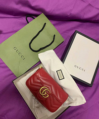 ����ĵ�һֻ���ư�������ֱ̫����