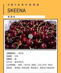 �ĸ�Ʒ�ֵĳ�����������óԣ�����������Ʒ�ִ�ȫ