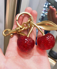 ޢ��Coach ������ӣ�ҹ��� ֵ��������