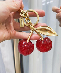 ޢ��Coach ������ӣ�ҹ��� ֵ��������