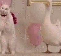 ������ֵ����gb�ú��ӼӺ�ë̺49��֪ζ��ź��16