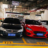 第一次从后备箱爬出来