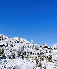 100鱨ȥɽˣѩǧֵֵɫ̫