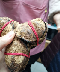 ��Ҫ��������ʪ��������ҩ���г������ҵ��˴�