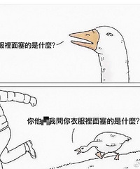 ����Ԫ�����޷�ֵ������"��ʮ�������䶬��"�����ô�춼����