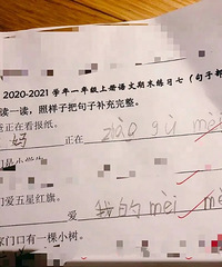 一个小男孩的试卷,妹妹能撑起语文作业半边天