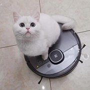 爱玩扫地机的小可爱