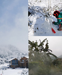 泡温泉、吃美食,赏雪景,舒服