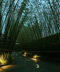 ǧɽʽС깤˵˵Щװ޹еĹVS¹