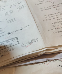一年级娃这学期做了几十张卷子,期末考试来临分享个试卷收纳神器
