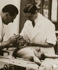 �Լ��������У��������ӵ�DD���ã�