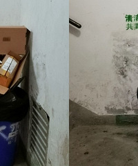 邻居家的老婆婆很喜欢守点捡纸箱