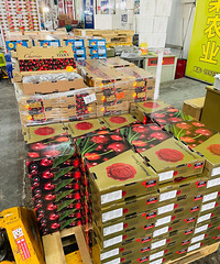 ˵공Ӽ۸һ룿ȥ˫˹