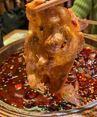 ˵˵����򿨵�5�ҵ꣬���ëѪ������Ƭ�а��ƴ�