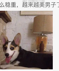 Ԭ�����ֺ��Ȼ͵��ǰ���ѵĹ�