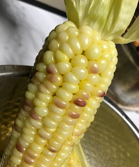 �����˺ܻ�Ļ����ף�����������������Ŵ