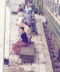 84年164CM的小姐姐征婚,希望对方生活独立无负担