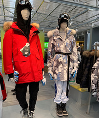 ��LL����䡿���˽�����Ĳ�˾�����޷������ǹ���֮��