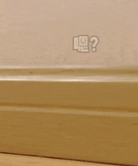 121ֵݷ޸Ȧ59 ⲩѧ30