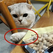 ��ȥ�û�����Сצ��