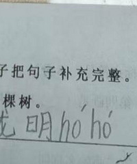 ĩԾгֵ𰸴ͣǶǶְɣ