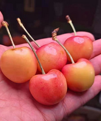 70��һ��Ľ�ɫ�����Ӻó��𣿳Թ�����˵˵