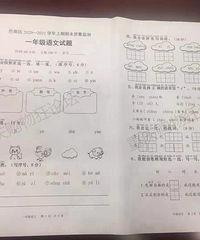 2020年重庆各区小学期末考试卷汇总,巴南区最先考完哟