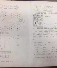 2020年重庆各区小学期末考试卷汇总,巴南区最先考完哟