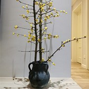 �չ�����÷�������⾳