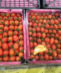 �山�¿���ˮ����ҹ����������һ���ˮ������ô��