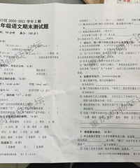 大渡口区小学四年级语文期末测试卷子,作文考的写封信