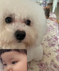 92��168CM������Ϸ���������飬ϣ���Է����Ľ���