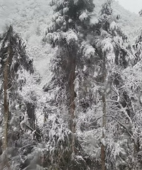 128ŮɽһΣԼ۱ȸ߾ɫ