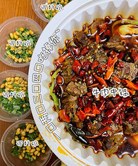 ���ţ�����������������������������·�