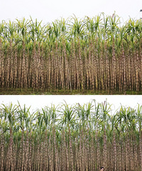 �����ܱ��������޵�-���ĵ��Ͽ�����