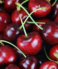 �㻹�Ҳ��ҳԳ����ӺͶ�Ʒ������ҽ����˵��������