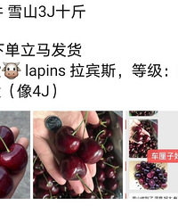 车厘子是不要钱嘛?10多块钱一斤,你们看到最低的是好多