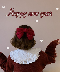 今年这种大蝴蝶结发夹好像很火的样子!我也入手一个
