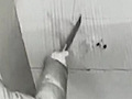 泰迪被邻居持刀砍伤
