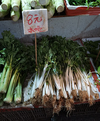 ��̦45�飬�ཷ10�飬��û����˼۾���ô���ˣ�