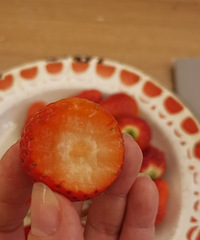 ˮ�����ɳ����׶Ρ�ҹ����������г�