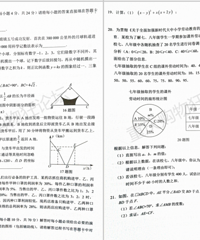 2021年沙坪坝区初三上期末数学考试卷子